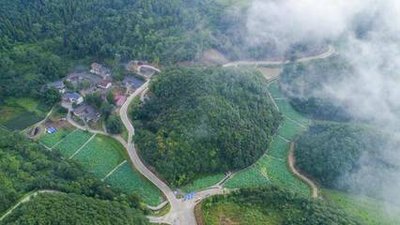  推动脱贫攻坚和乡村振兴