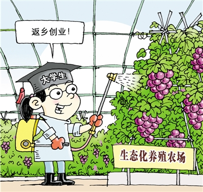 加大政策扶持力度让新农人