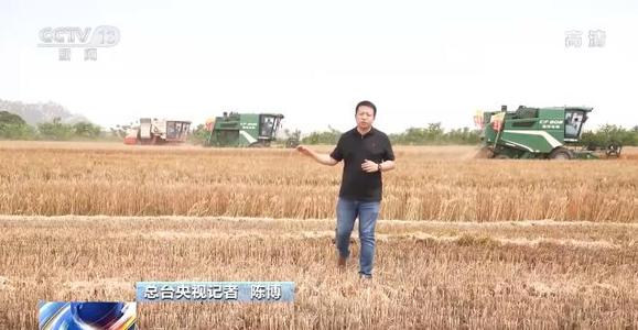 单日收获量已过300万亩 我