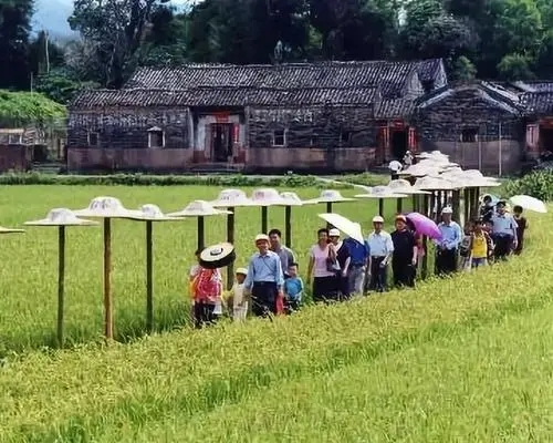 农业旅游如何引领乡村振兴