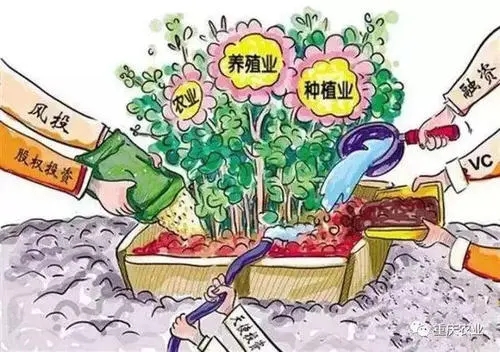  我国将进一步加强社保帮