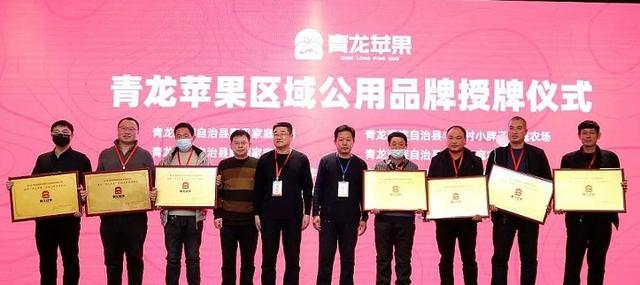 “青龙苹果”区域公用品牌