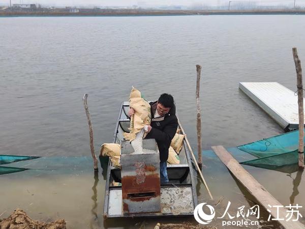 江苏淮安洪泽区：新农人带老