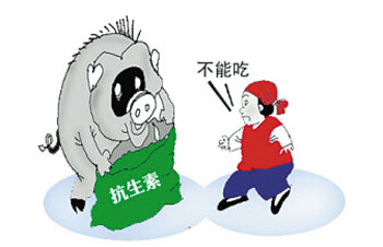 农业滥用抗生素美国被曝较突出