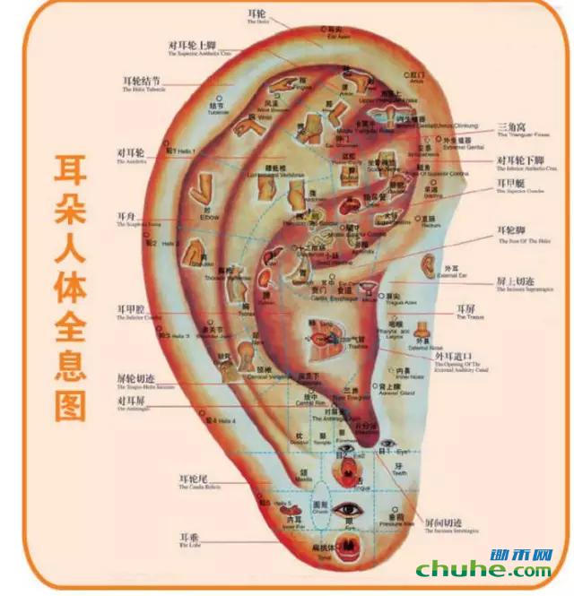 方舟子嘲讽遭打脸的何止是"引力波",十年前打击全息生物学创始人