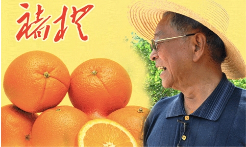2-1-chucheng