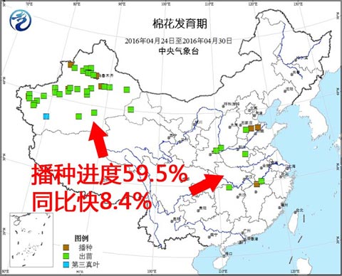 <br />疯狂之后棉市路在何方？<br />