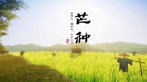 芒种养生吃什么