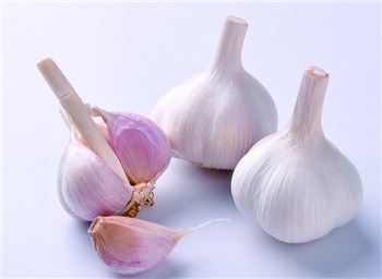 蒜价飞涨：蒜商田头包买 暗中高价托市