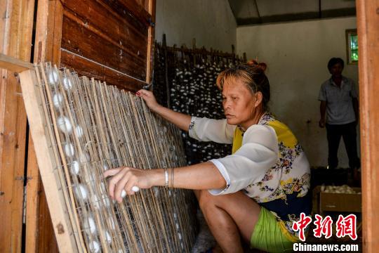 海南探索“农业+旅游”扶贫中小企业扶植模式可借鉴
