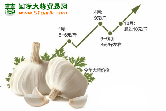 国际<a href=http://www.chuhe.com/_quanweishuju/dasuan/dasuanjiage/ target=_blank class=infotextkey>大蒜</a>贸易网