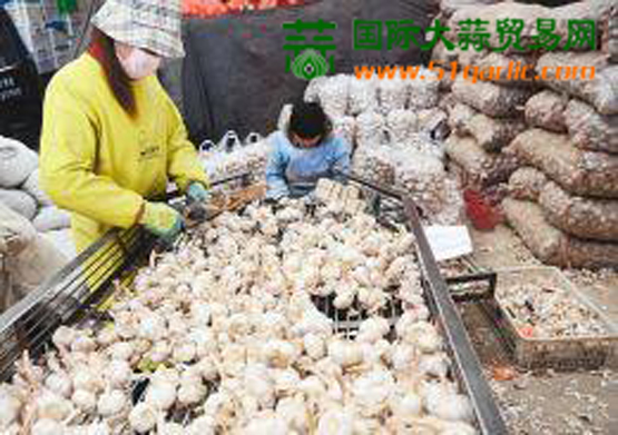 国际<a href=http://www.chuhe.com/_quanweishuju/dasuan/dasuanjiage/ target=_blank class=infotextkey>大蒜</a>贸易网