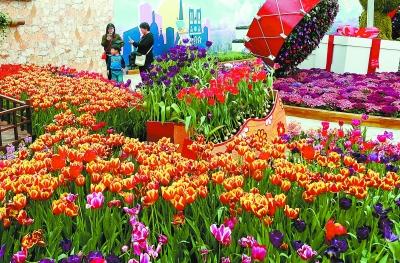 农业嘉年华开幕 130项高科技联袂展示