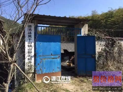 累计调减生猪过半 今年再补刀，浙江最大养殖基地被砍掉！