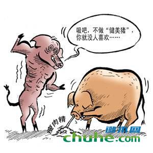 瘦肉精.jpg
