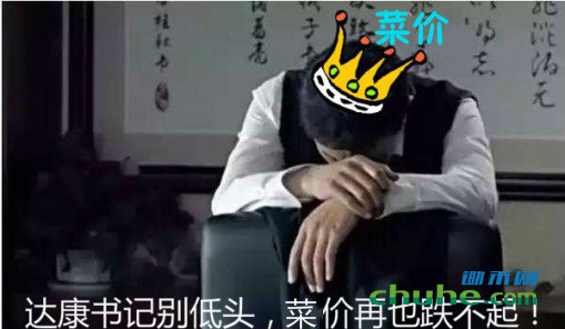 图片11.png