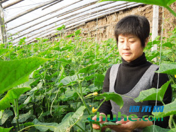 170414_到<a href=http://www.chuhe.com/_chuheguanzhu/ target=_blank class=infotextkey>智慧农业</a>培训班上捞点“干货”！453.png