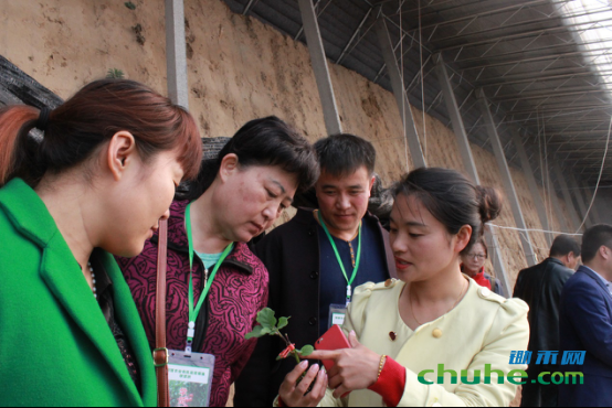 170414_到<a href=http://www.chuhe.com/_chuheguanzhu/ target=_blank class=infotextkey>智慧农业</a>培训班上捞点“干货”！814.png