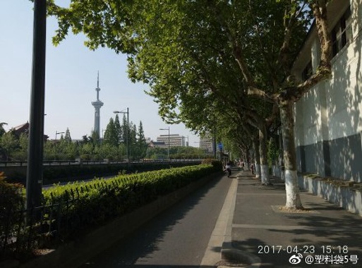 昨天，南京暖阳高照。图片来源@微博网友