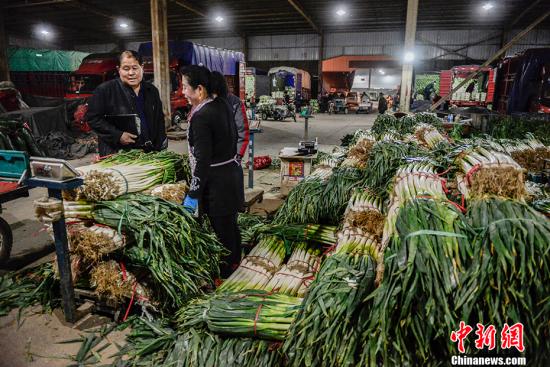 资料图：凌晨4点的通州八里桥批发市场，喧闹异常。 <a target='_blank' href='http://www.chinanews.com/' _fcksavedurl='http://www.chinanews.com/' >中新网</a>记者 富宇 摄