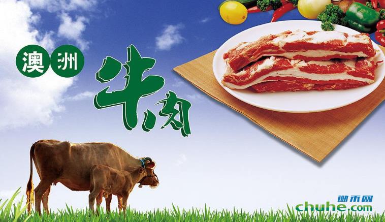 澳洲<a href=http://www.chuhe.com/_quanweishuju/niuyangrou/niuyangroujiage/ target=_blank class=infotextkey>牛肉</a>.jpg