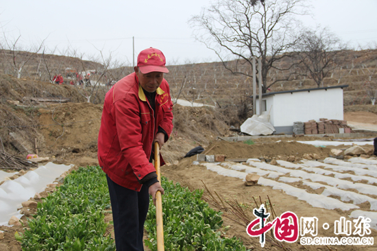  一个有机桃 带富一村人（组图）