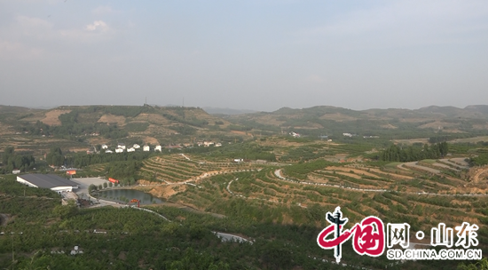  一个有机桃 带富一村人（组图）