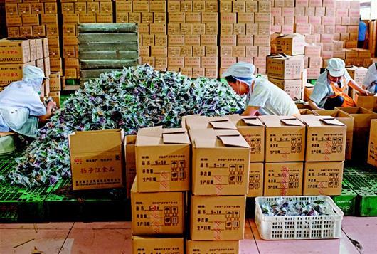 图文：90后包粽工一天要包上千个