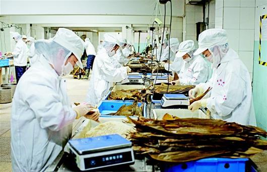 图文：90后包粽工一天要包上千个