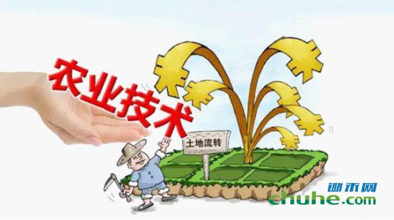 农业技术.jpg