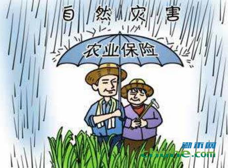 农业保险2.jpg