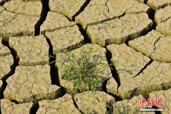 资料图： 图为干旱的土地 <a target='_blank' href='http://www.chinanews.com/' _fcksavedurl='http://www.chinanews.com/'>中新社</a>发 张磊 摄 图片来源：CNSPHOTO