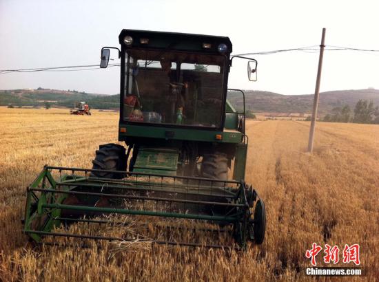 资料图：河南夏粮丰收。王登峰 摄