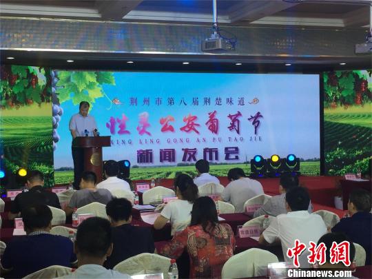 湖北公安县建立葡萄全产业链打造“江南吐鲁番”