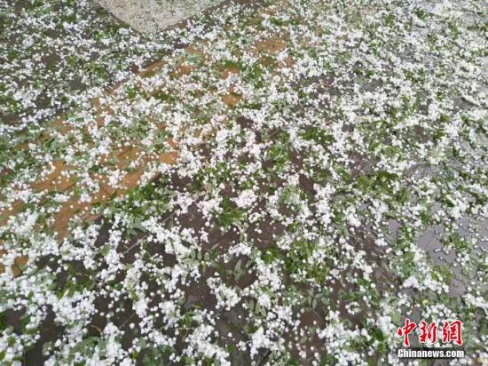 资料图：冰雹天气    张其文摄