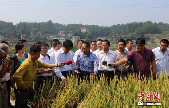10月10日，农业部组织专家，对由袁隆平院士领衔的第四期中国超级稻亩产1000公斤攻关项目进行了测产验收。测产结果显示，湖南溆浦县横板桥乡红星村超级稻攻关基地，百亩片平均亩产1026.70公斤。这标志着中国超级杂交<a href=http://www.chuhe.com/_quanweishuju/shuidao/shuidaojiage/ target=_blank class=infotextkey>水稻</a>第四期目标亩产1000公斤攻关获得成功，再创世界纪录。 当天，“杂交<a href=http://www.chuhe.com/_quanweishuju/shuidao/shuidaojiage/ target=_blank class=infotextkey>水稻</a>之父”袁隆平抵达湖南溆浦县横板桥乡红星村超级稻攻关基地，视察由其领衔主攻的中国超级杂交稻第四期攻关品种“Y两优900”生长情况。图为袁隆平视察超级杂交稻第四期攻关品种“Y两优900”生长情况。唐小晴 摄