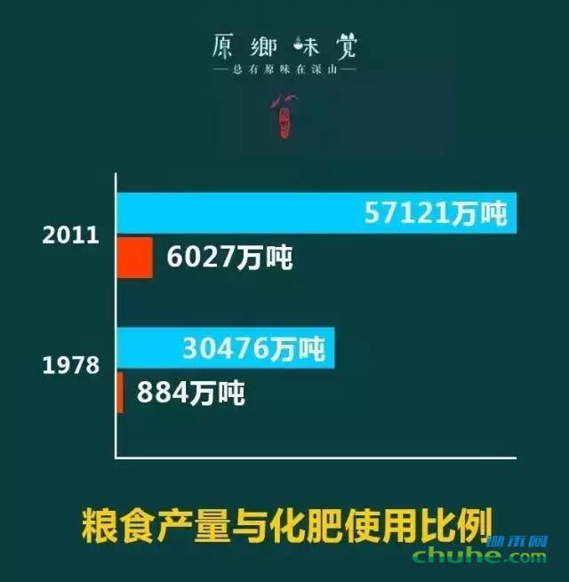 图4.webp.jpg