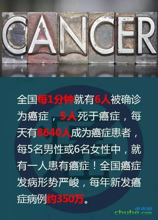 图一.webp.jpg