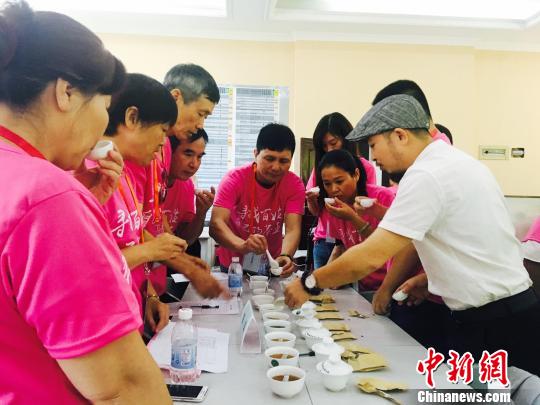 10日，来自各地大众评委在认真品茗。　张丽君 摄