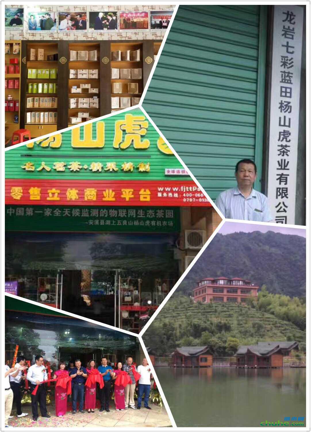 杨山虎3.jpg