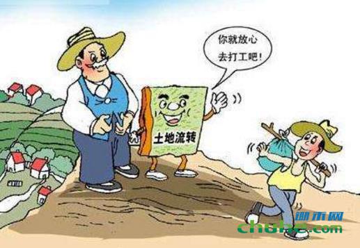 土地流转3.jpg
