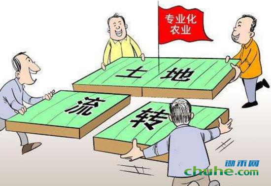 土地流转1.jpg