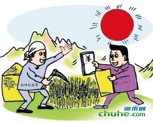 农民合作社.jpg