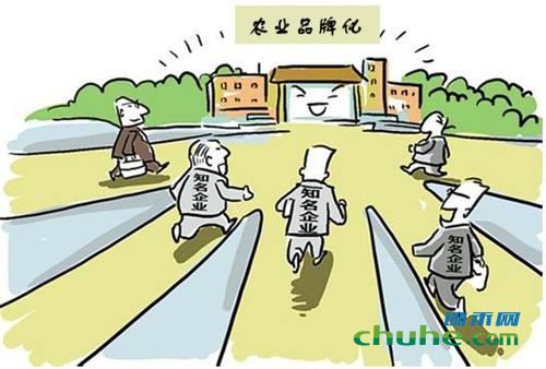 农业品牌3.jpg