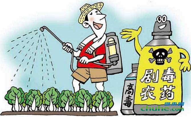 农残2.jpg