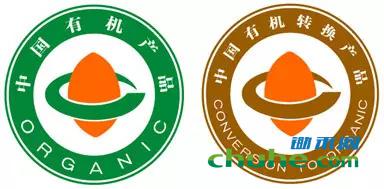 中国.webp.jpg