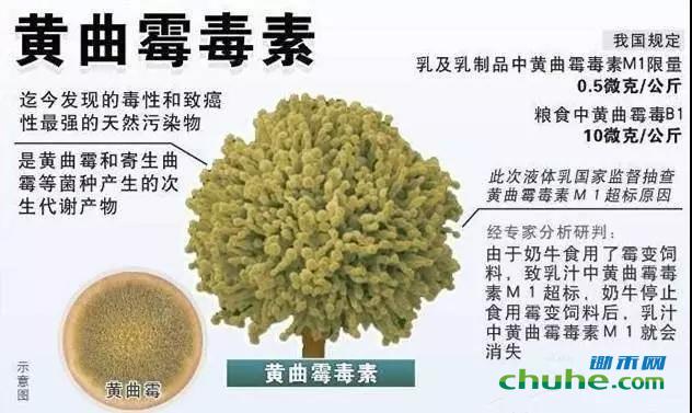 黄曲霉毒素.jpg