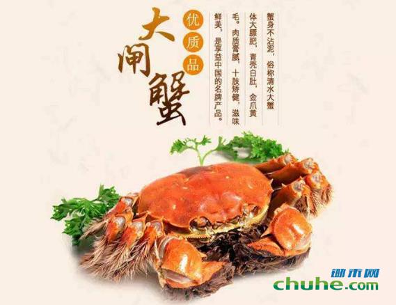 大闸蟹.jpg